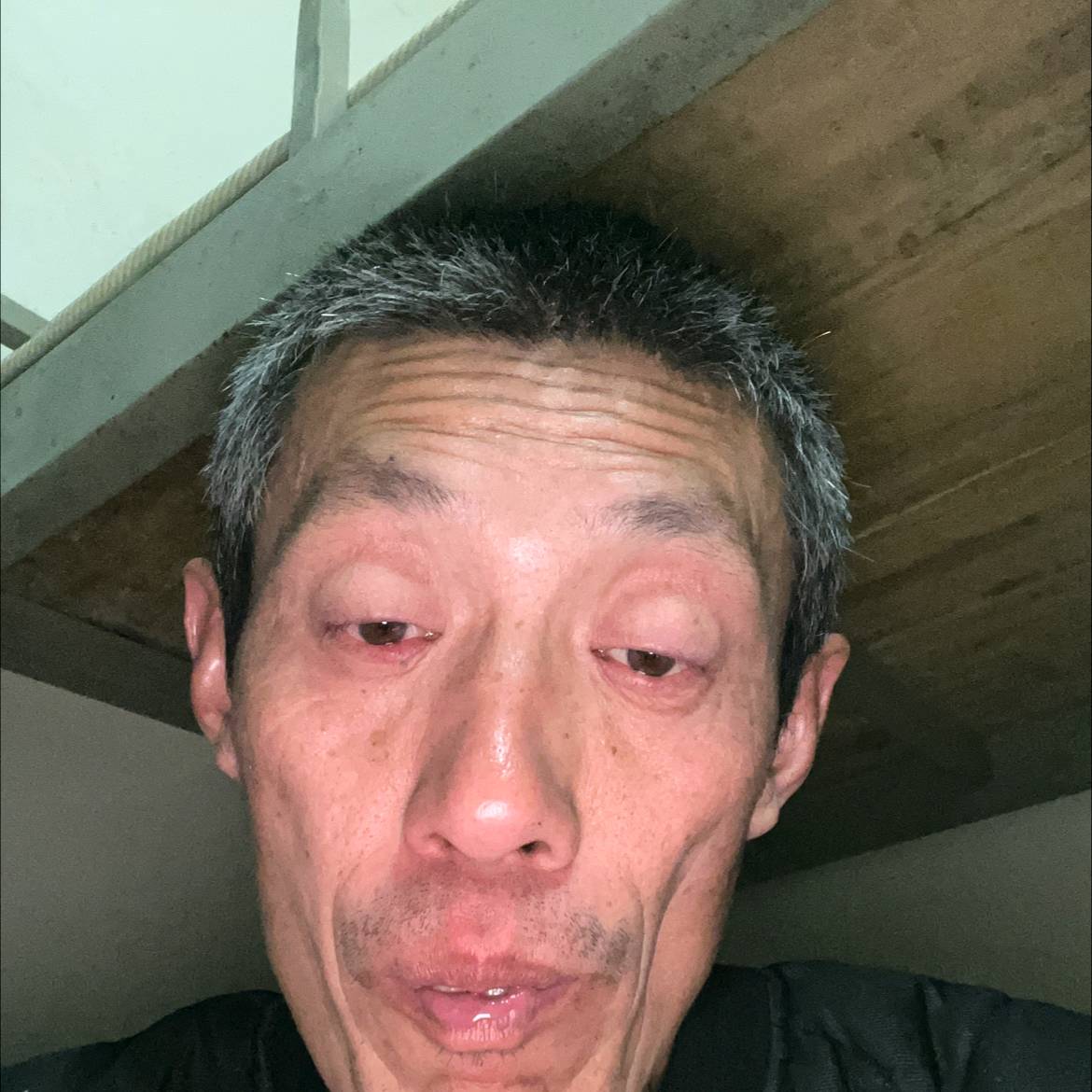 兴奋和猫咪的照片
