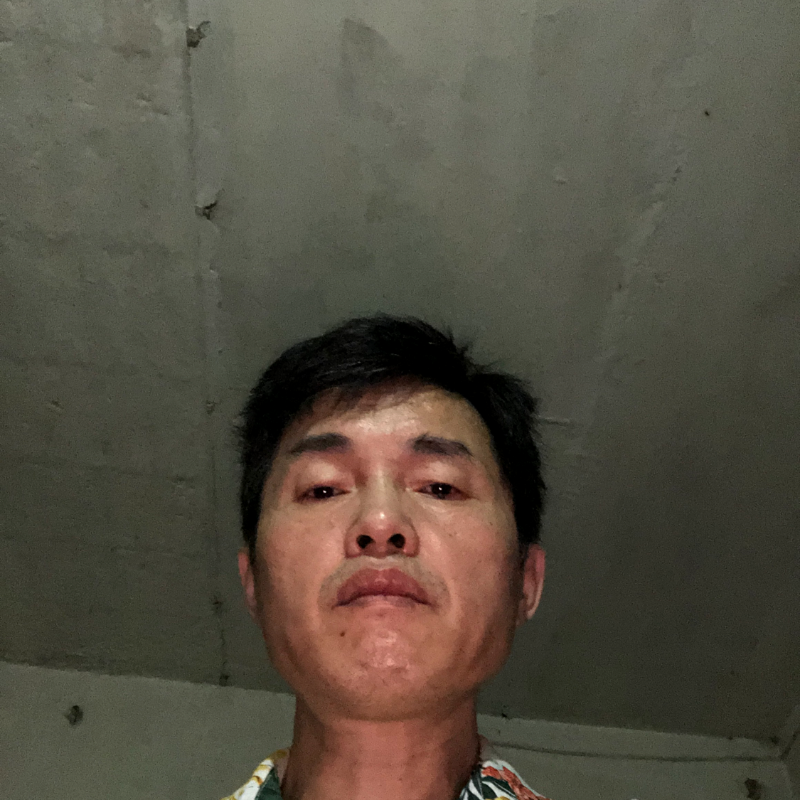 可恼的照片