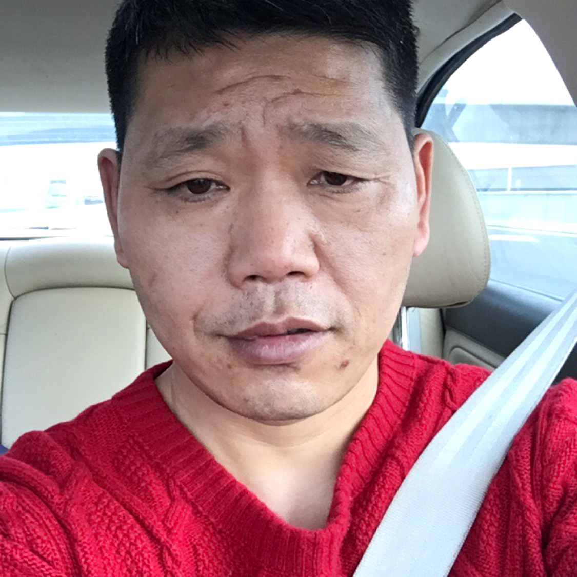花瓣停止俏皮的照片