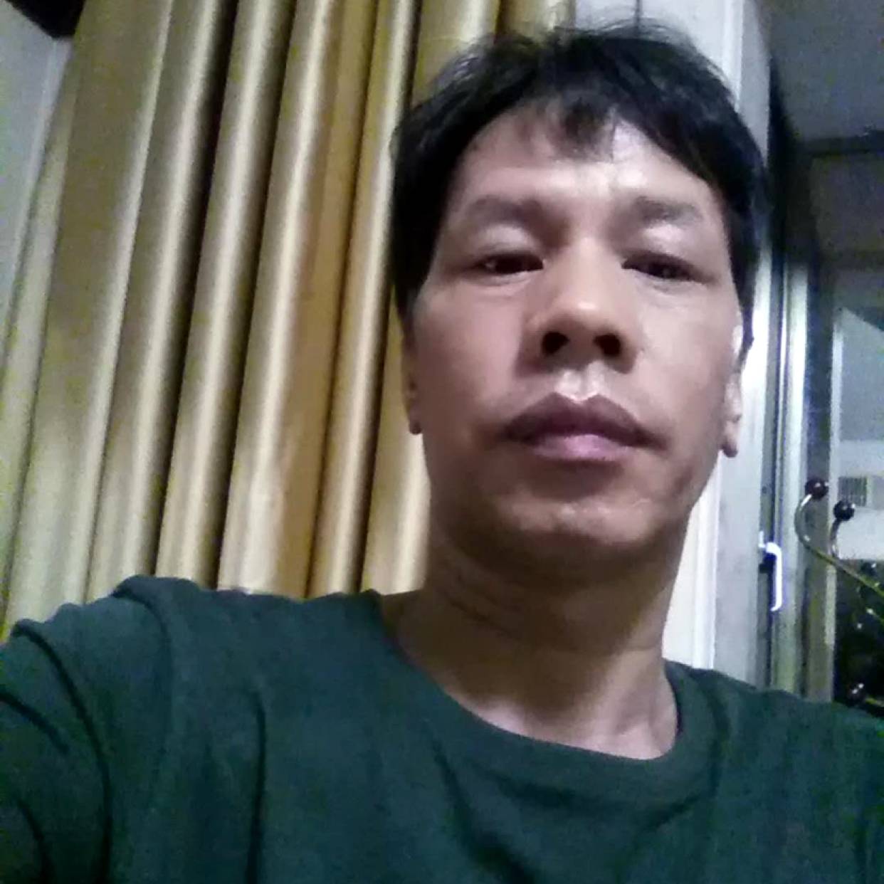 刺猬迎单纯的照片