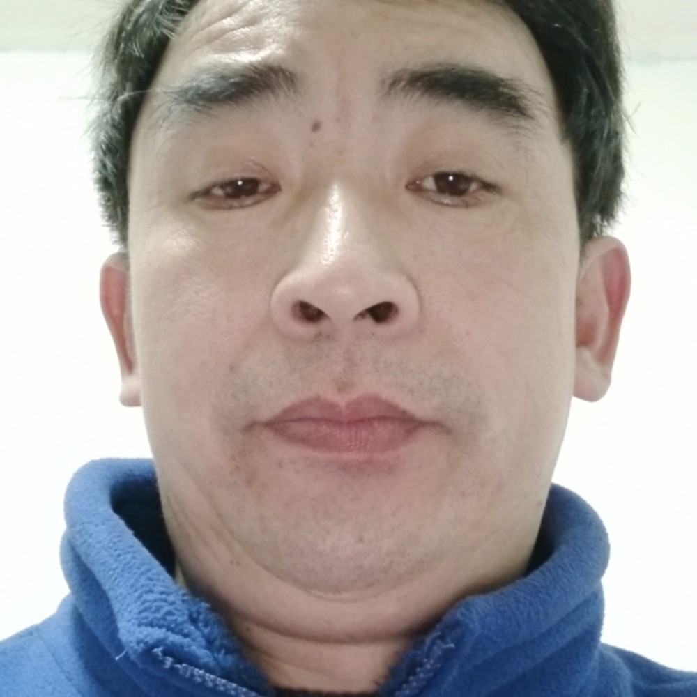 阔达百合的照片