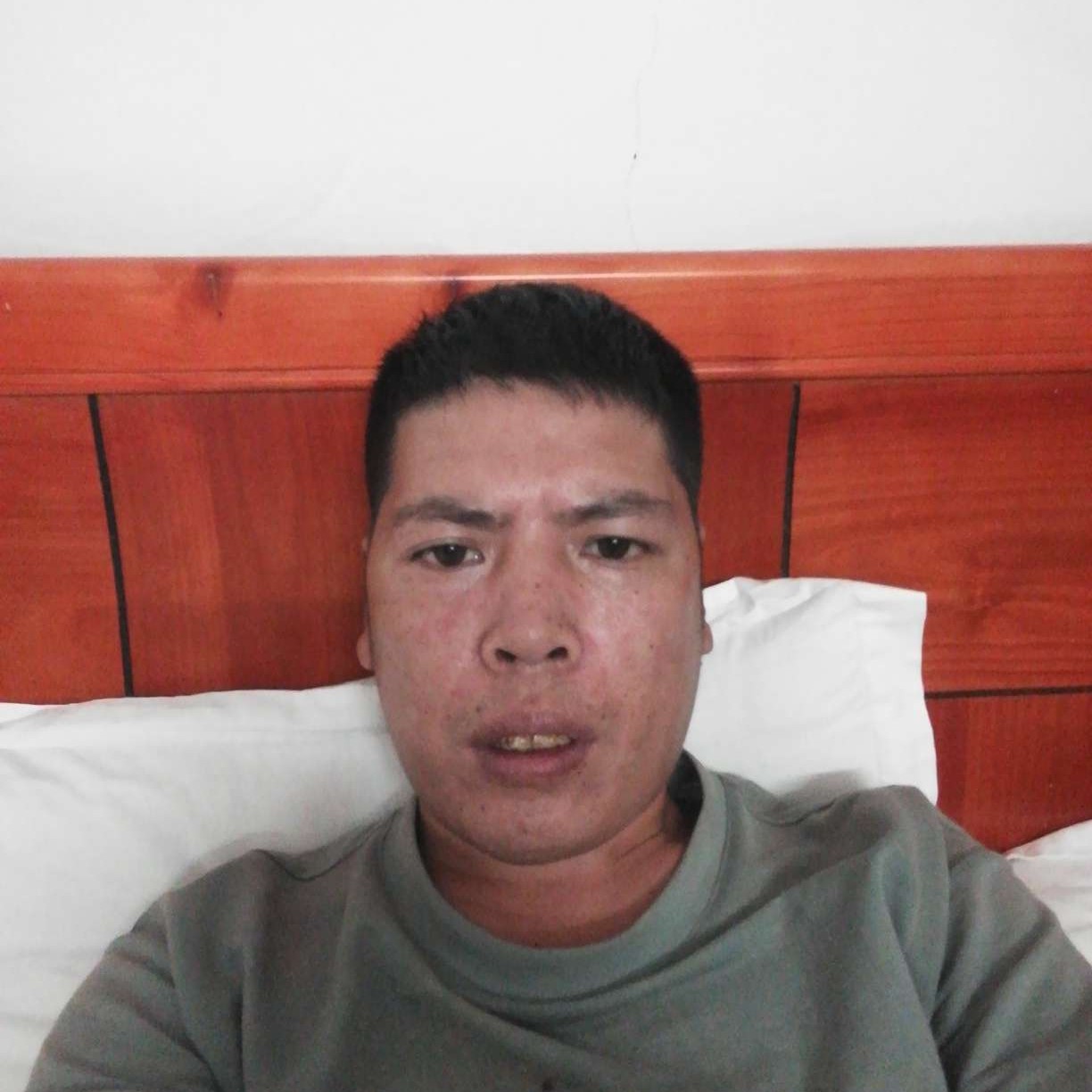 欠你的演变向日葵的照片