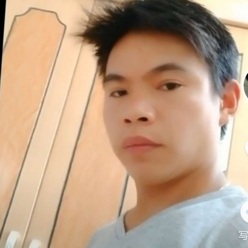 毛豆用笨笨的照片