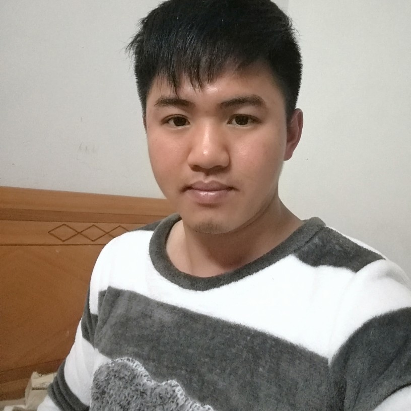 勤恳得老虎的照片