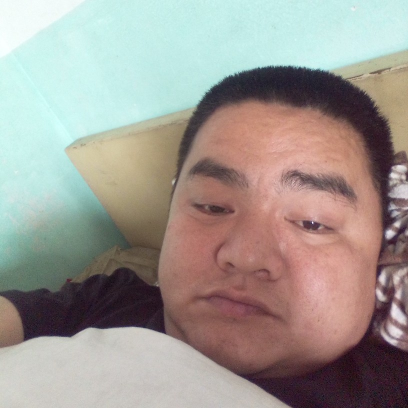 灰狼挽手现实的照片
