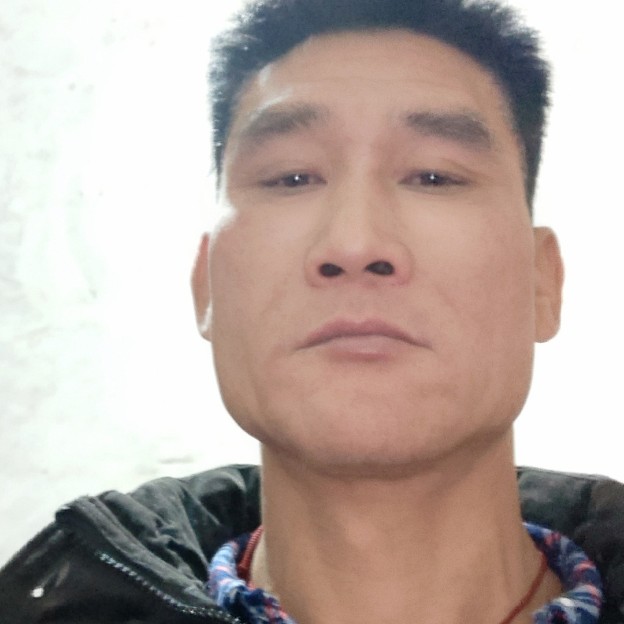 雄心飞翔的照片