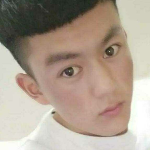 胡萝卜与甜甜的照片