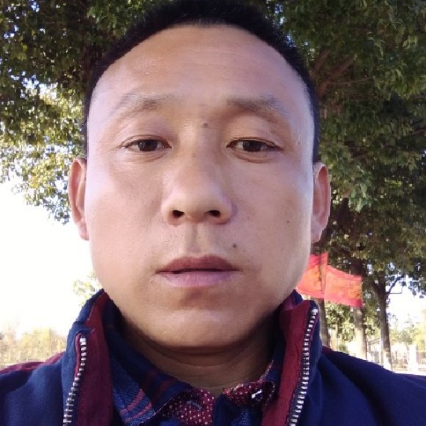 今生陪你走的照片