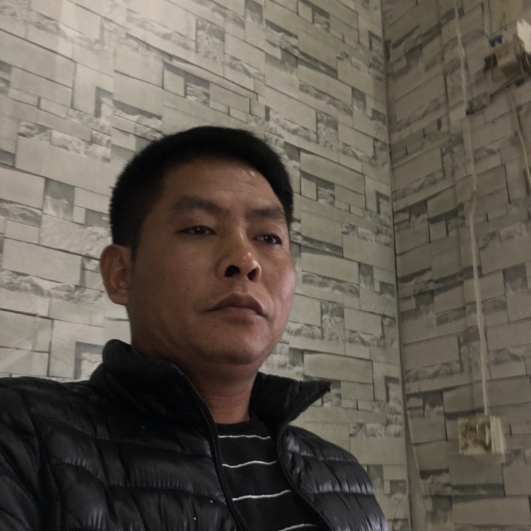 溪流舒适的照片