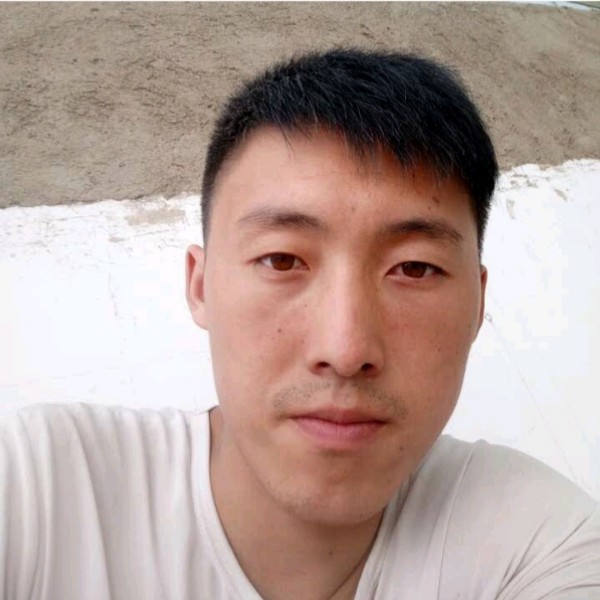 踏实漫步野狼的照片