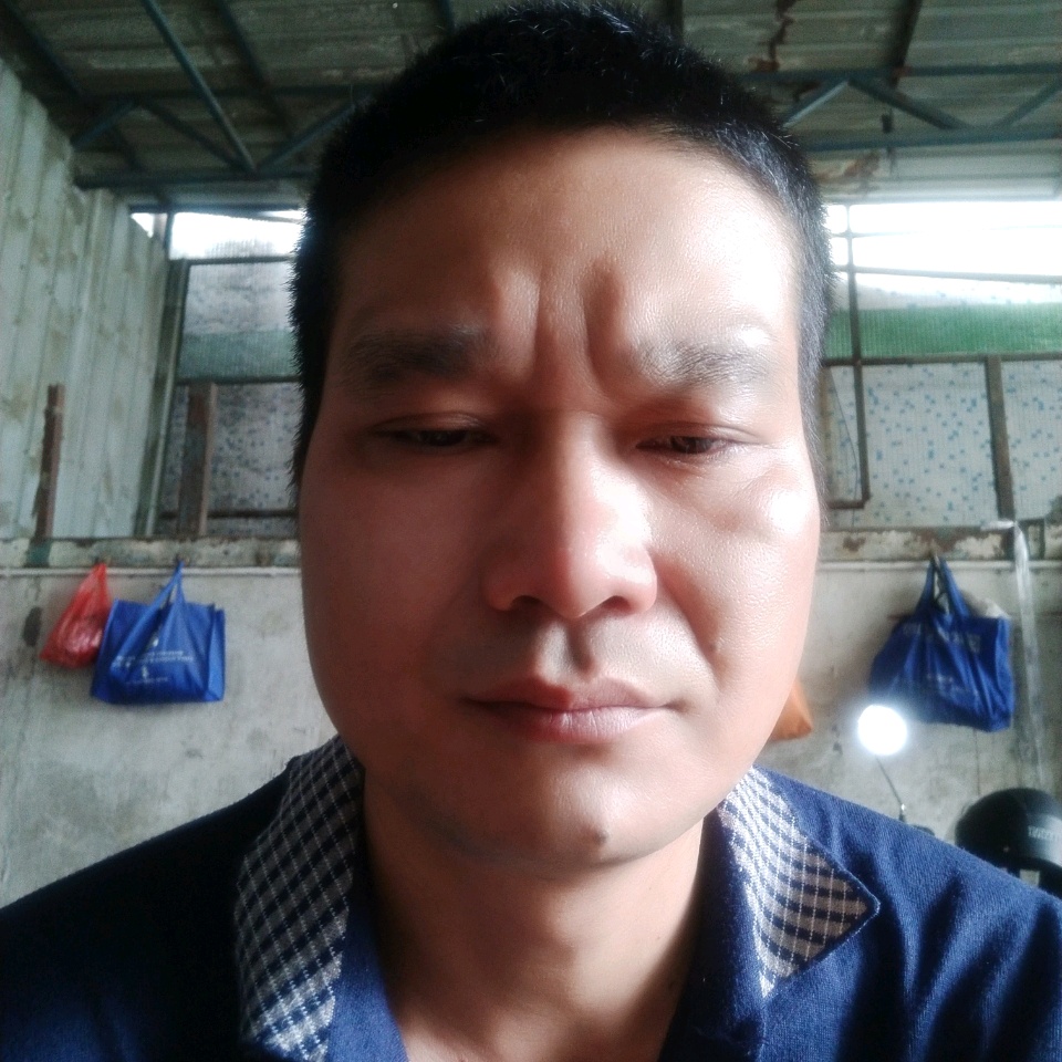 毛豆那年轻的照片