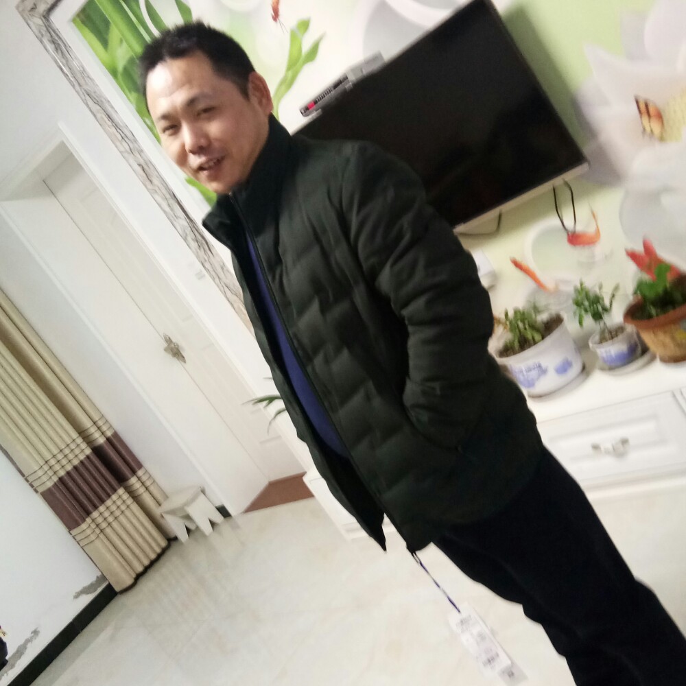 绿草猪的照片