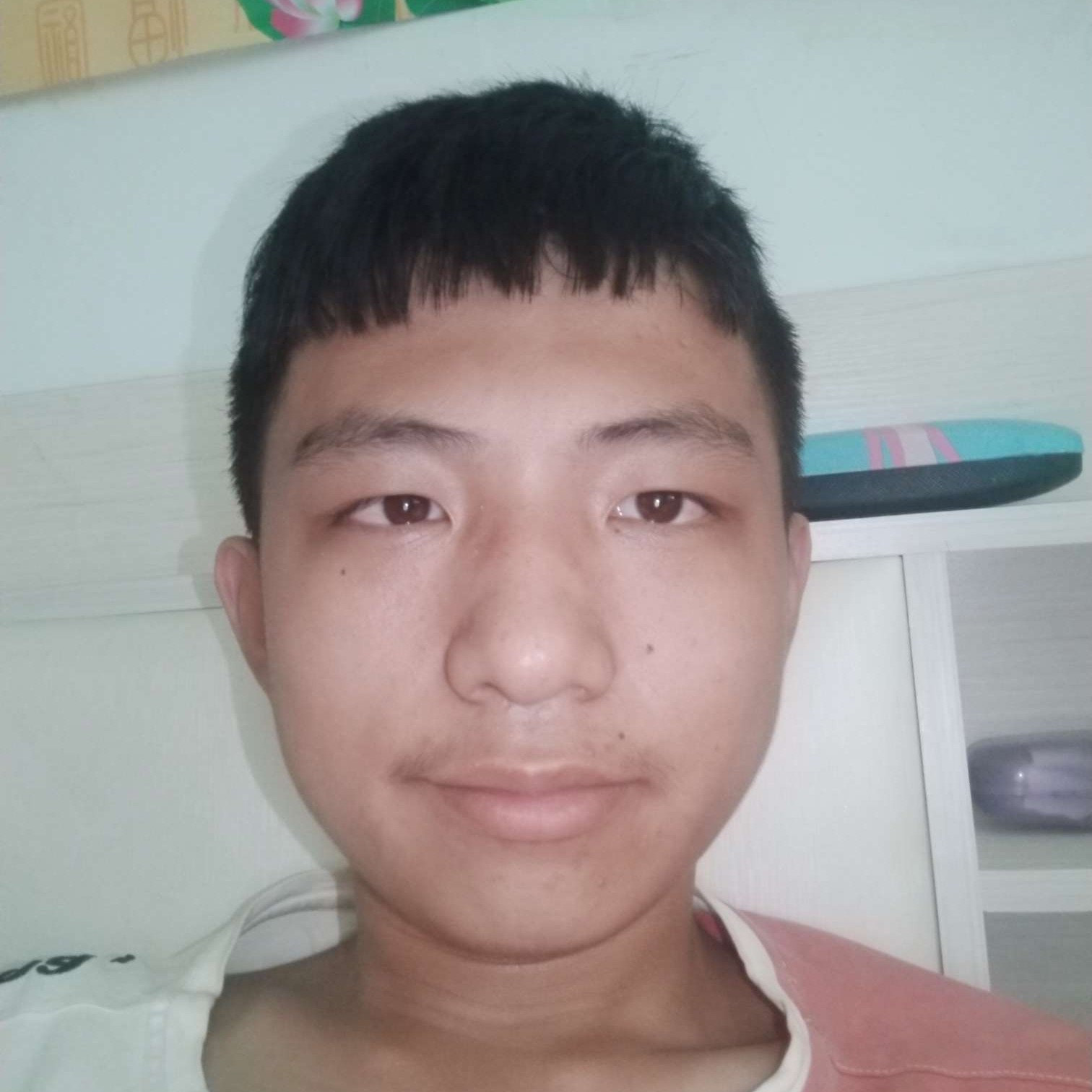 玩命拾忆鲜花的照片