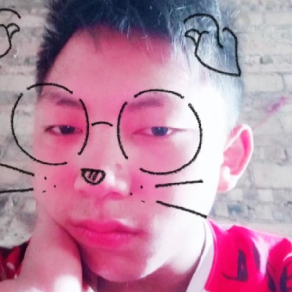 淡然如人生的照片