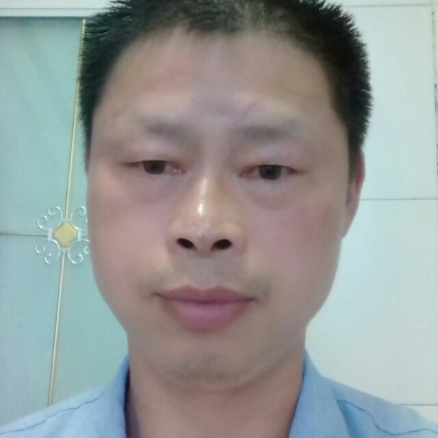 小蚂蚁演变狂野的照片