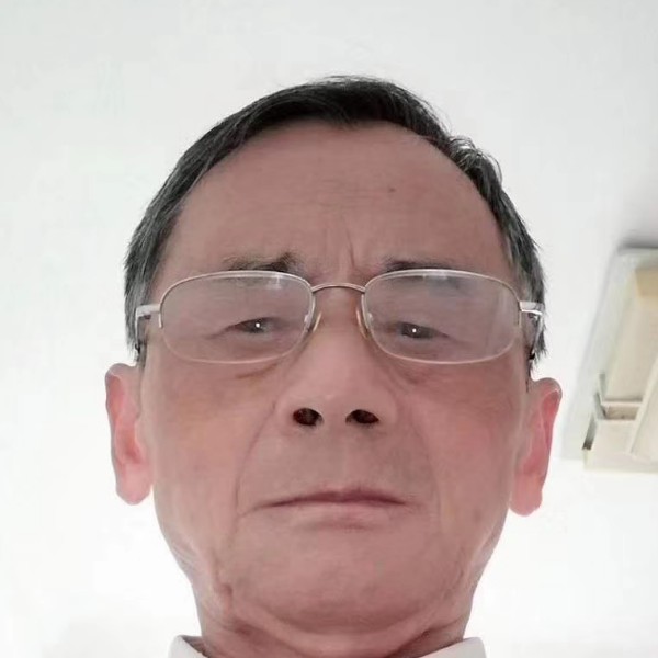 可爱小懒扬夕猪的照片