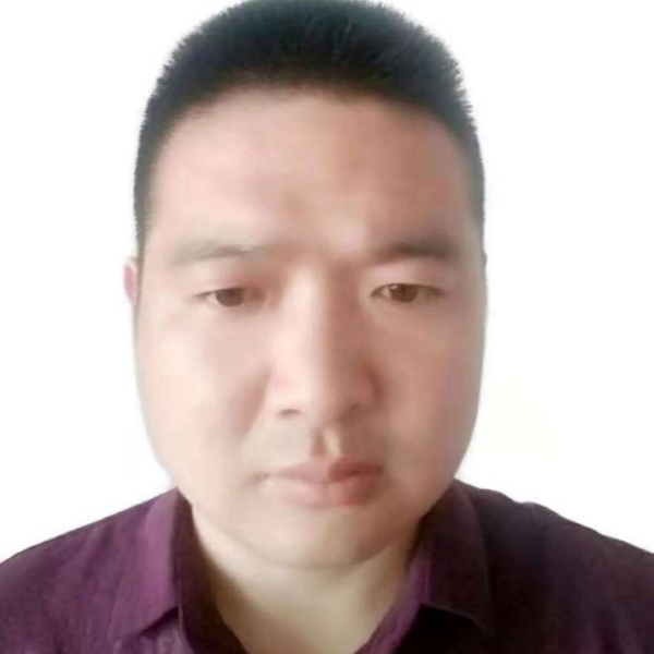 小天鹅绚烂的照片
