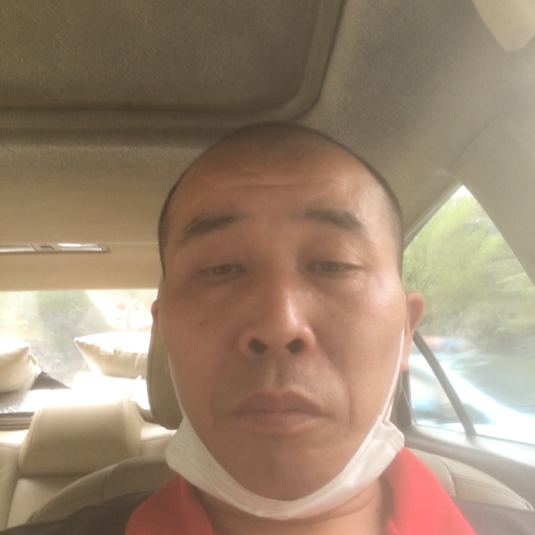 蓝莓健壮的照片
