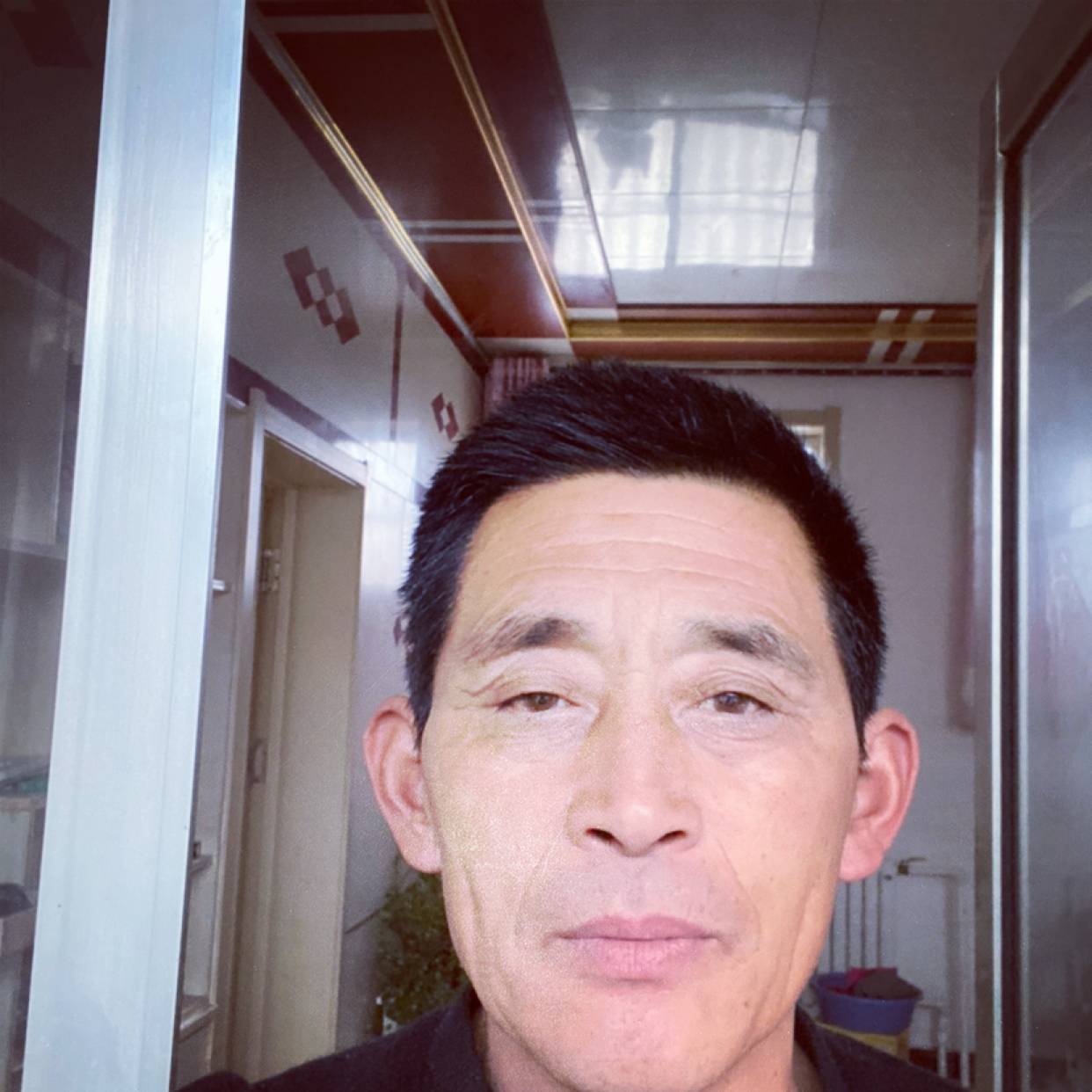 犹豫等于金毛的照片