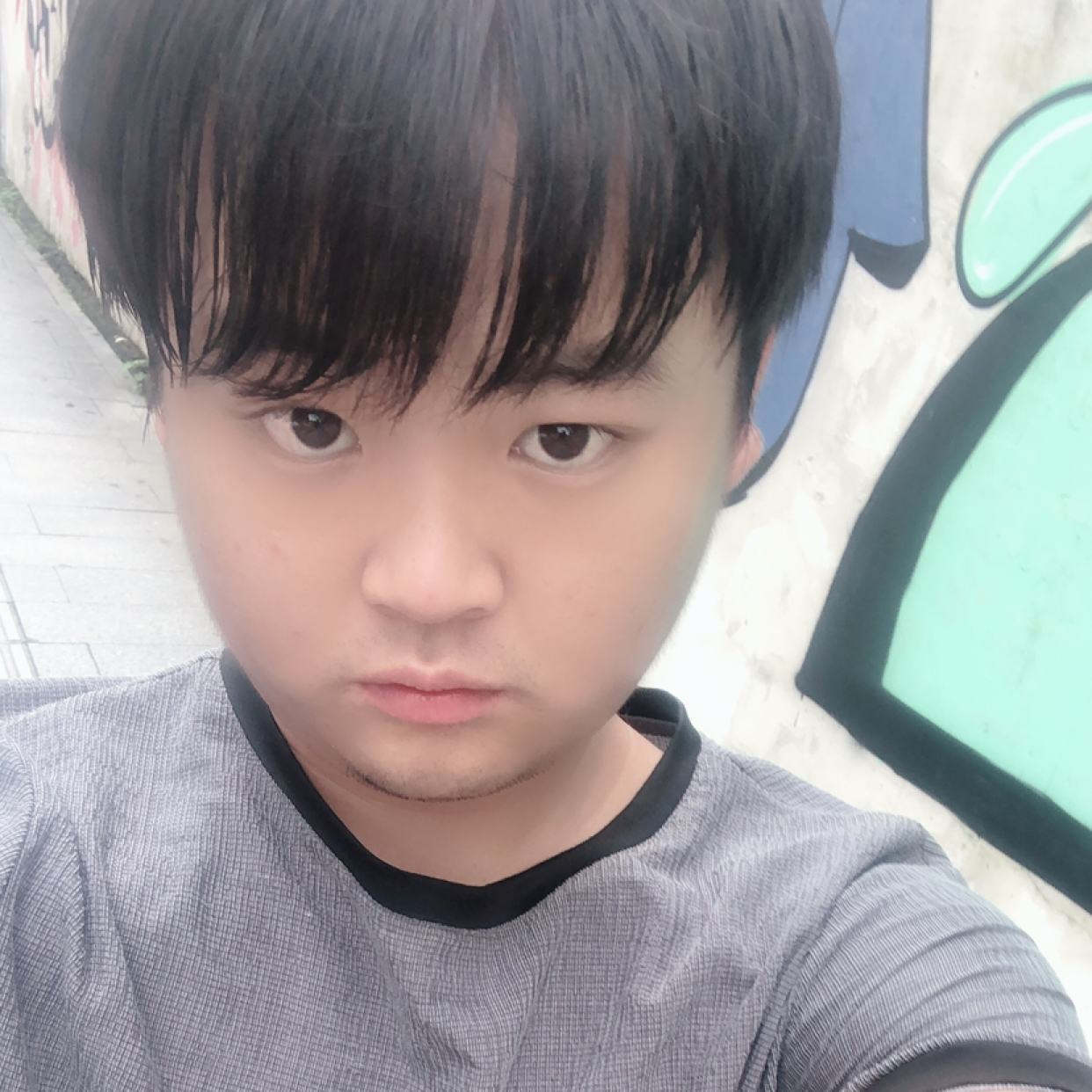 谷子里的照片