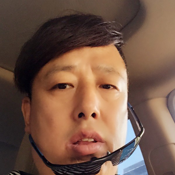 飞鸟与沉静的照片