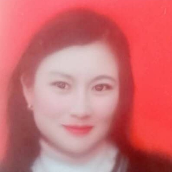 竹韵清雅的照片