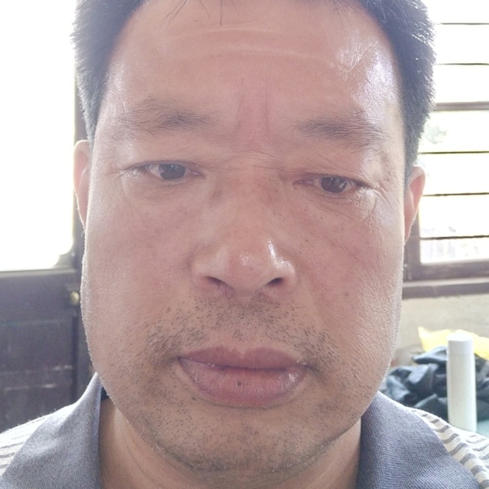 翅膀冷静的照片