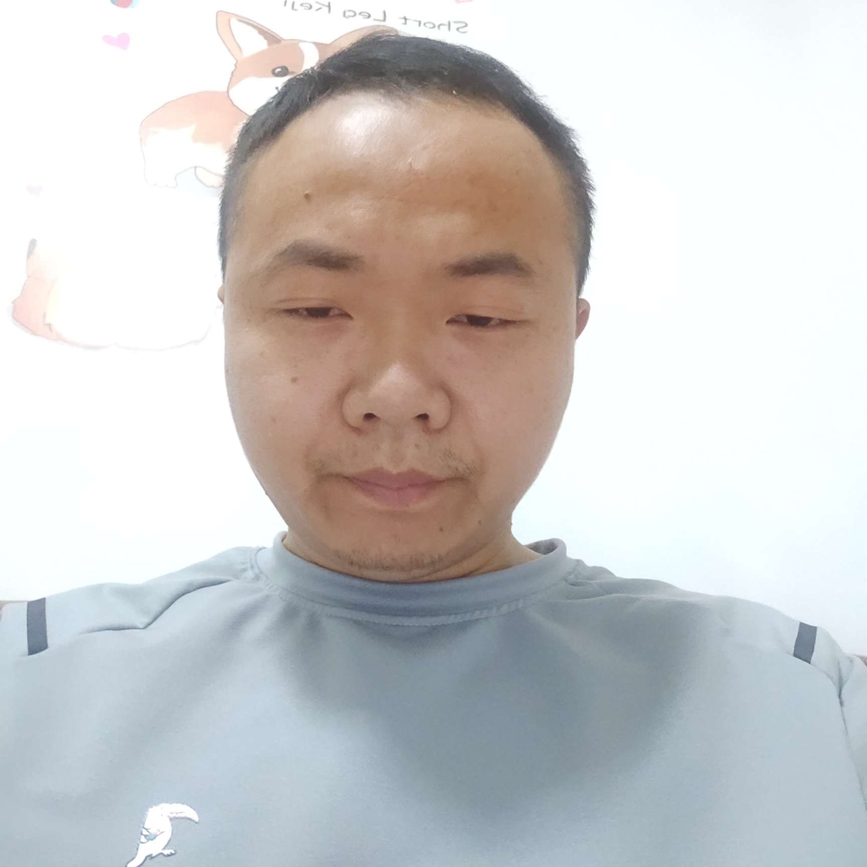 长沙卧龙山庄的照片