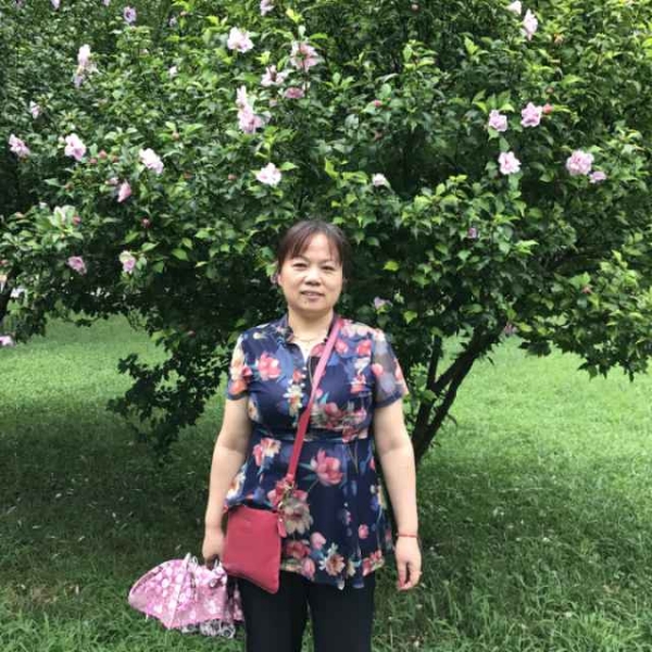 风趣浅吻鱼的照片