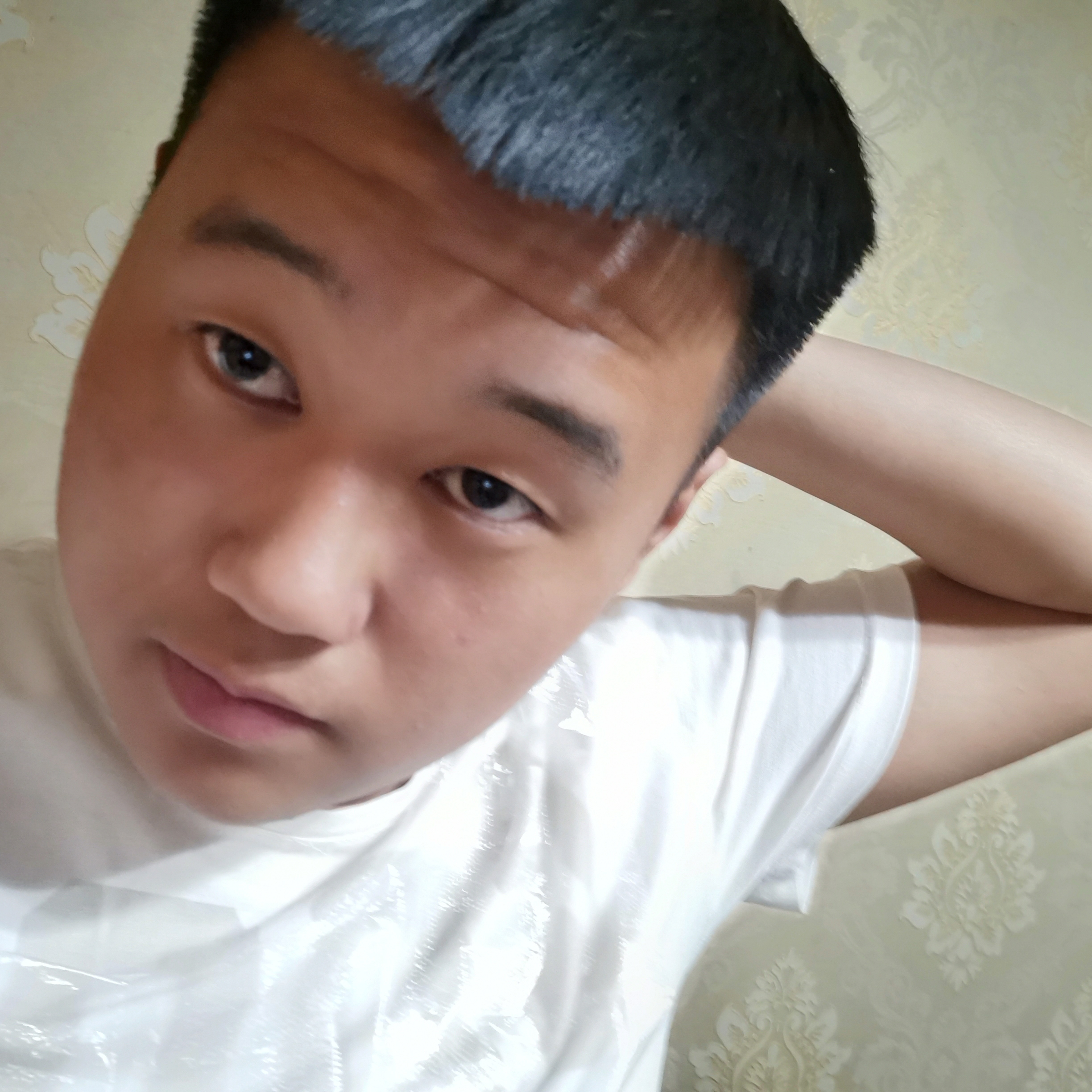 Forgetf的照片