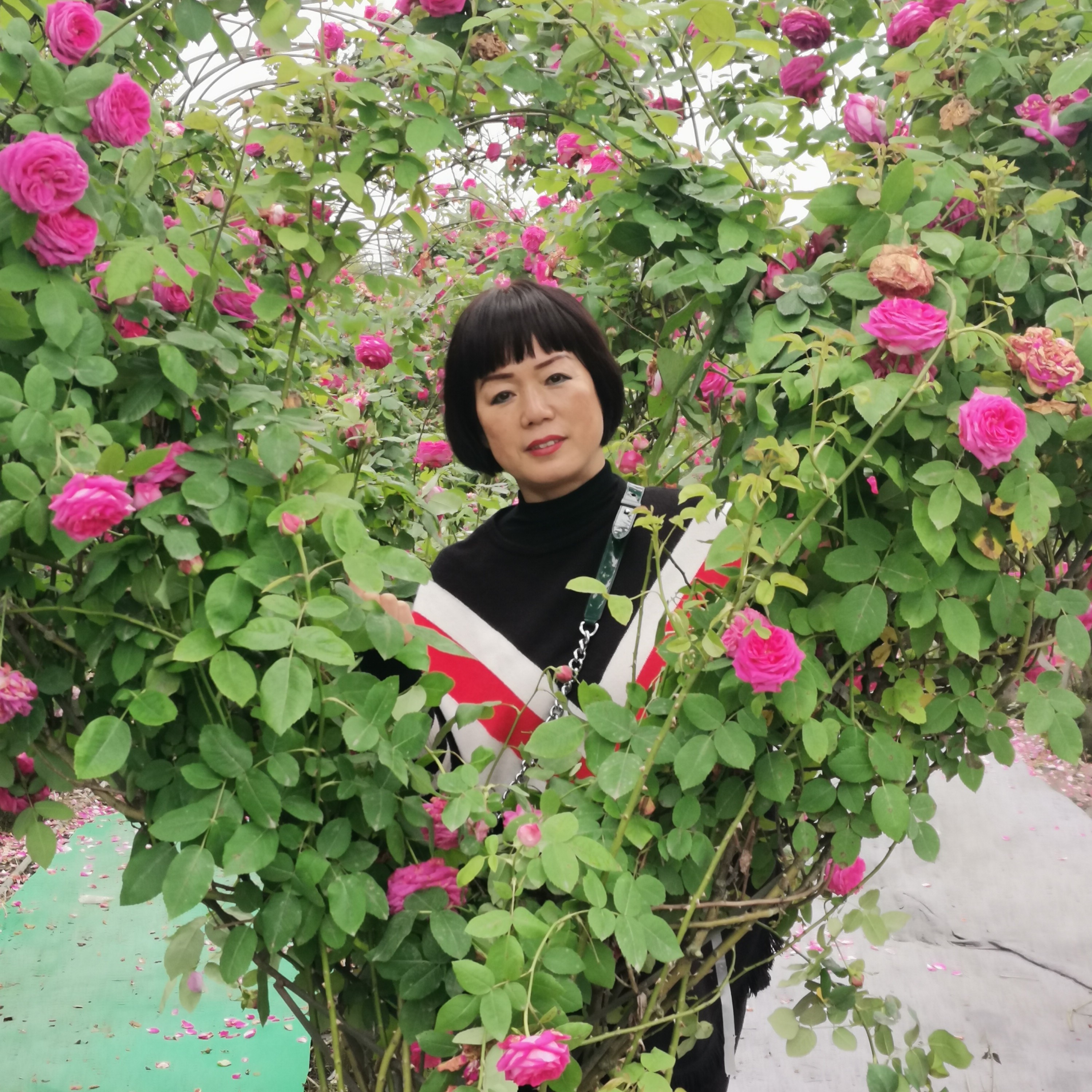 鲜花保卫寂灭的照片