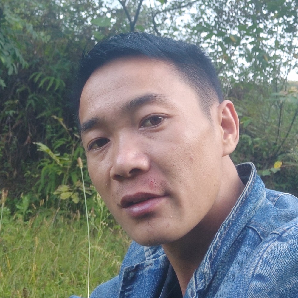 无非图个安稳的照片