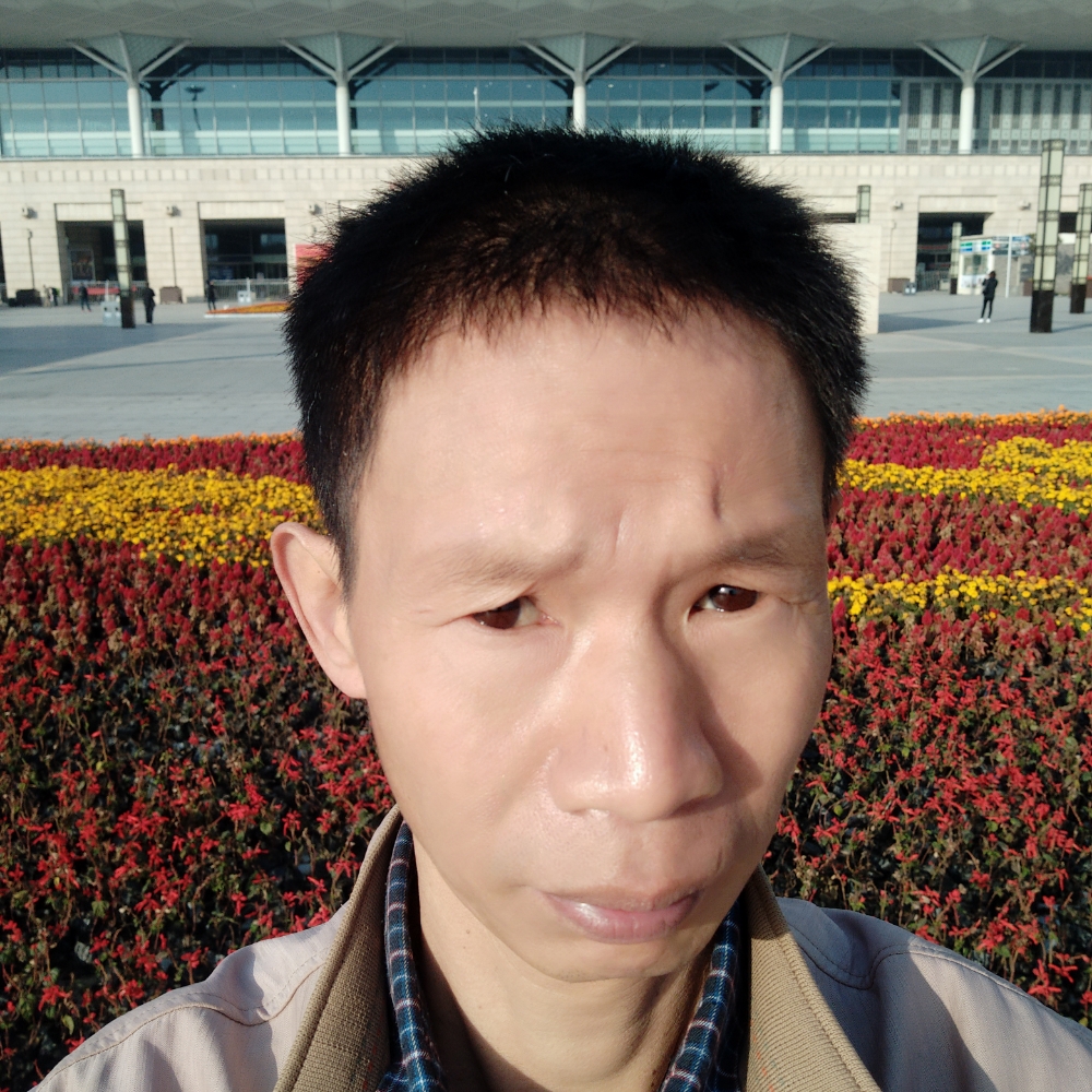 鸵鸟给糟糕的照片