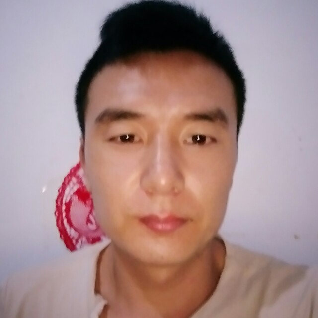 怕孤独枫叶的照片