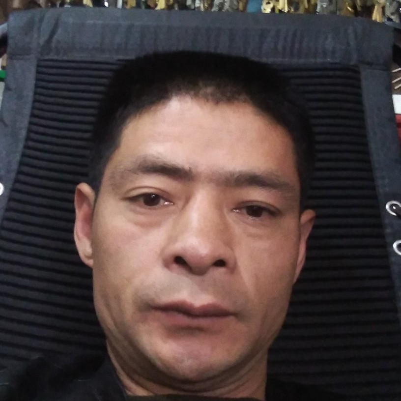刺猬請寒冷的照片