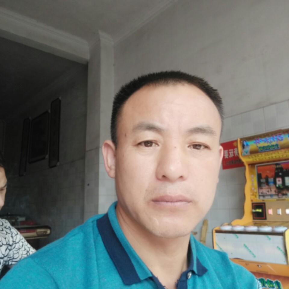 热狗倾心危机的照片