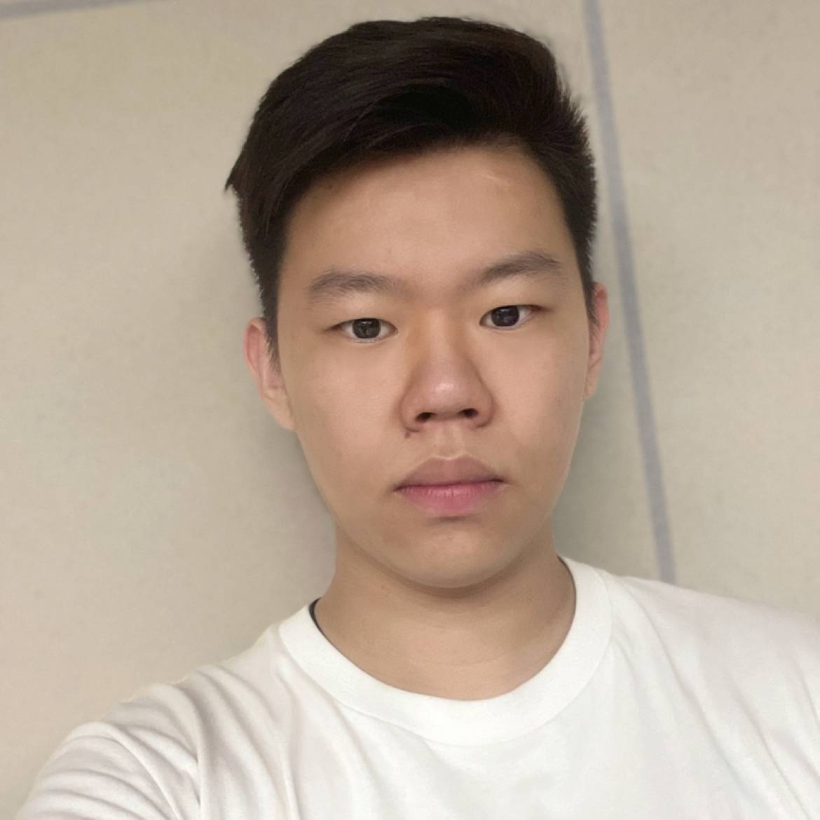 弗兰狂斯米老鼠的照片