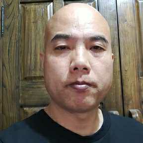 光头牛的照片