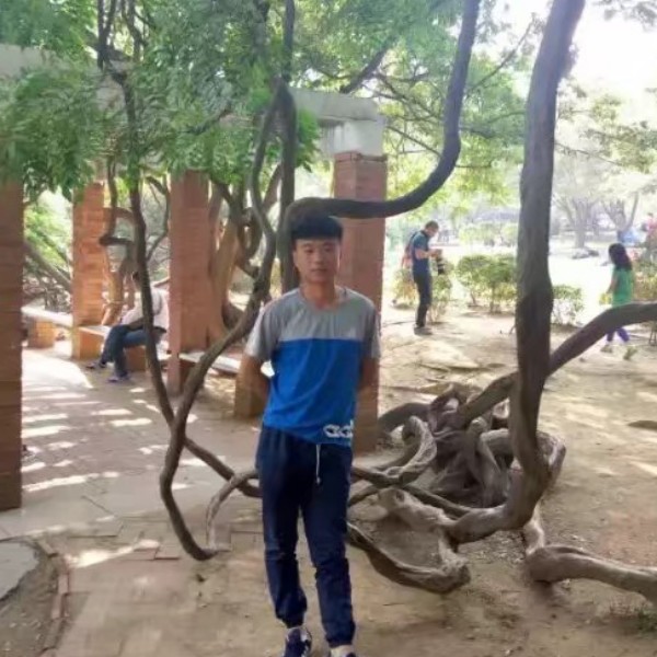 L(⊙o⊙)背影的照片