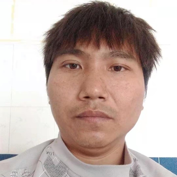 草丛演变翩飞的照片