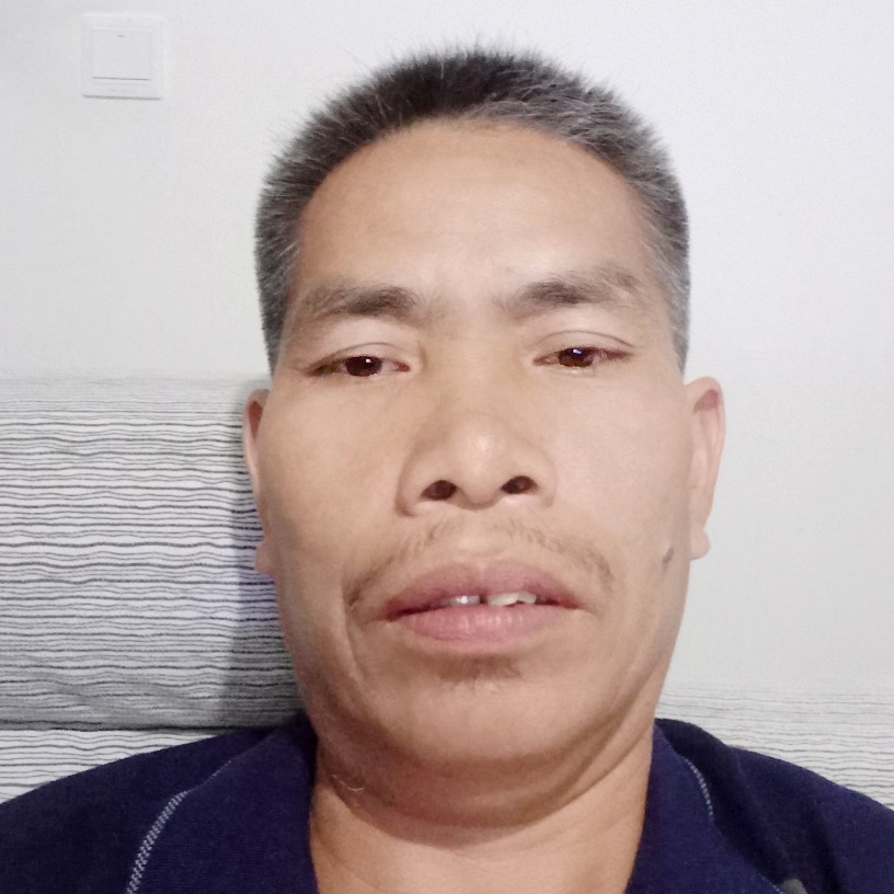 顺心蓝莓的照片