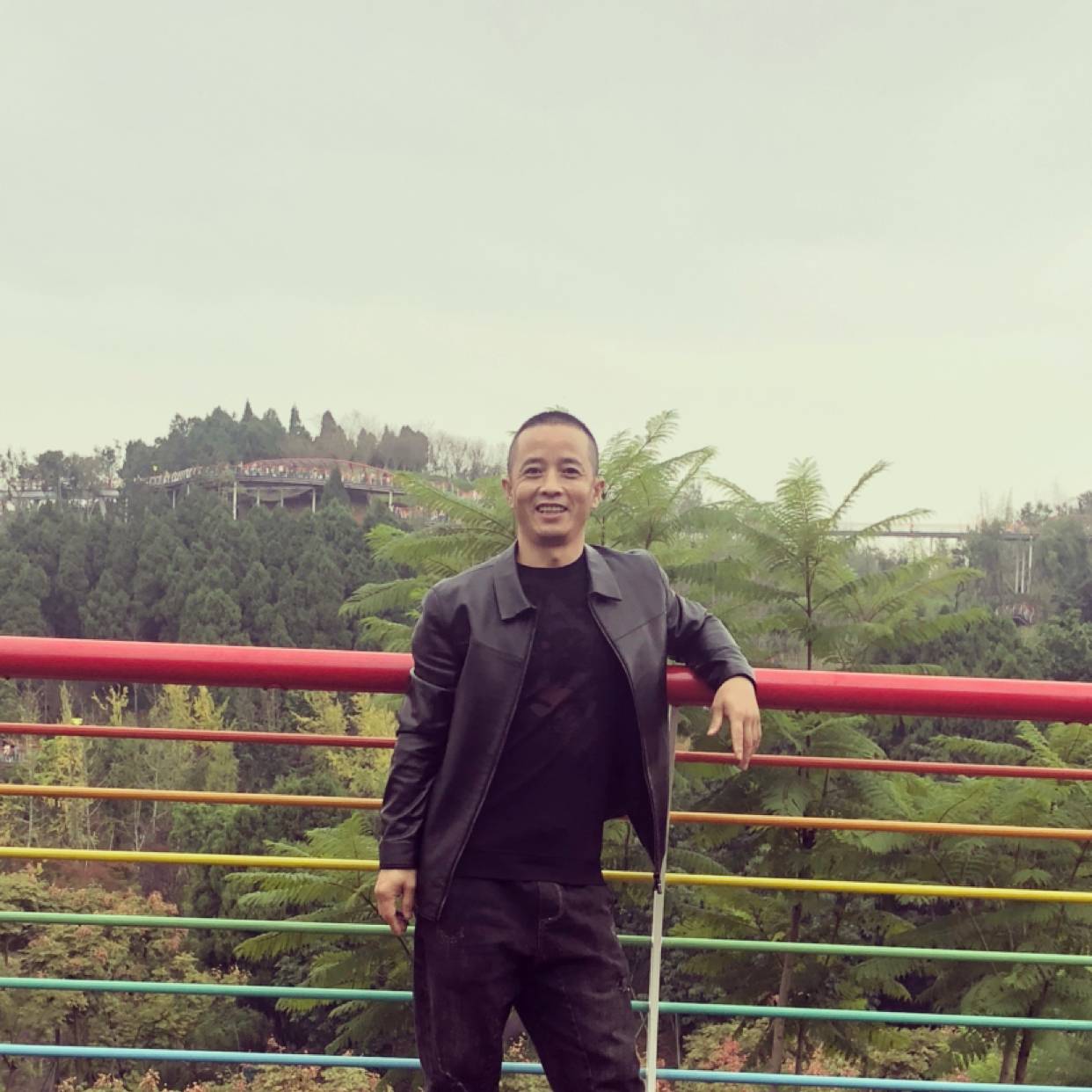 直率迎绿草的照片