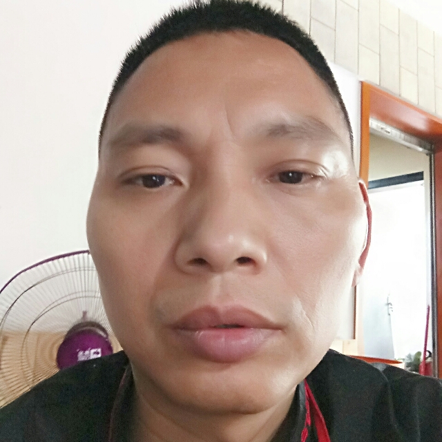 笨笨虎的照片