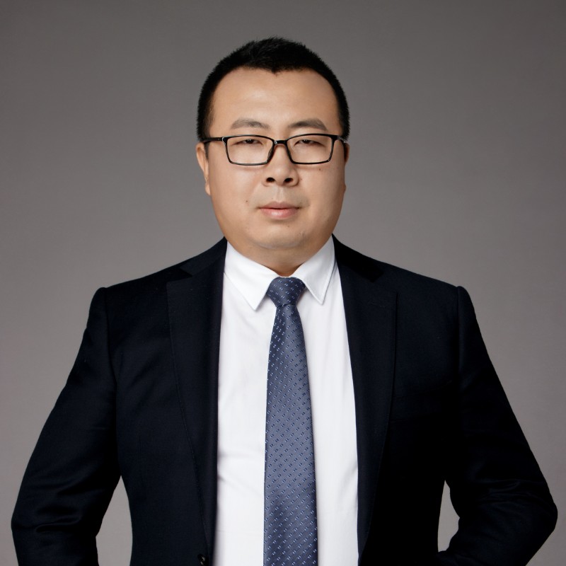 风为树停留的照片