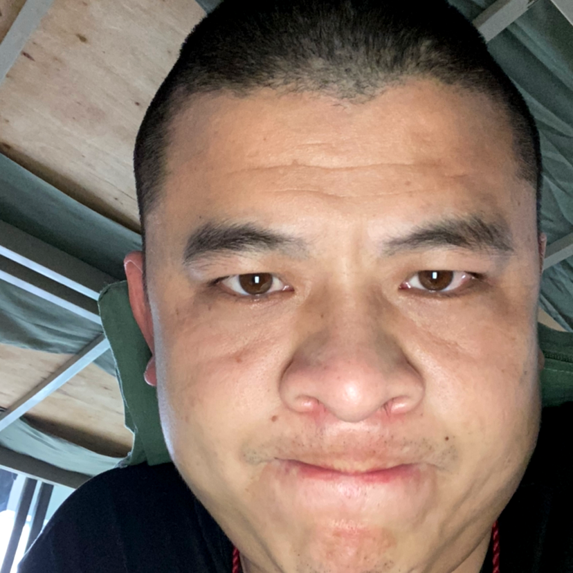 满意放弃玫瑰的照片