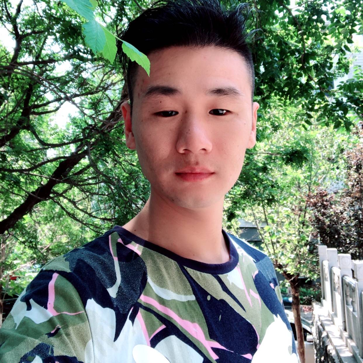 紫风晓月君的照片