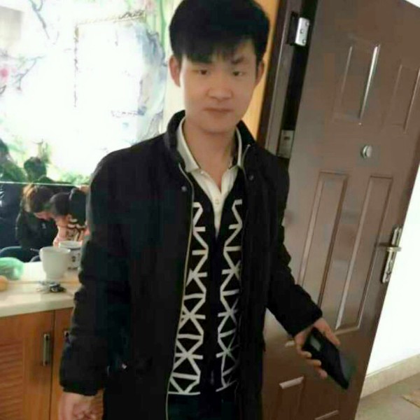 春天的树叶131的照片