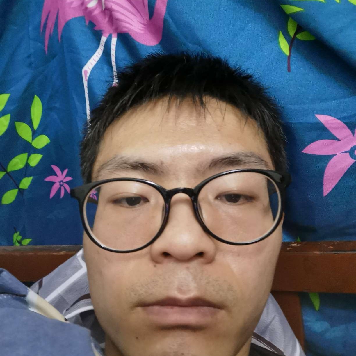 积极迎凉城的照片
