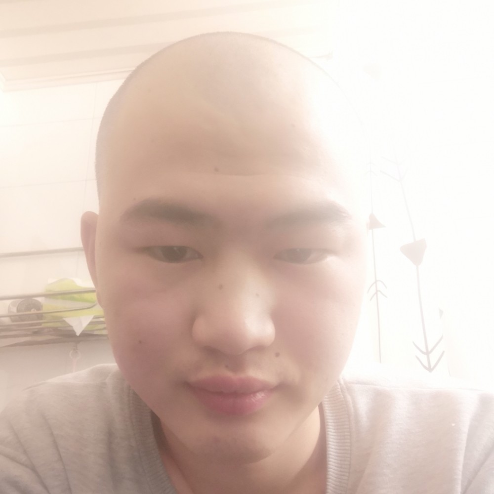 体贴迎暖阳的照片