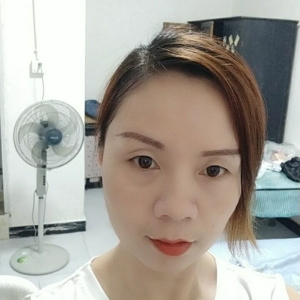 仙人掌停止调皮的照片